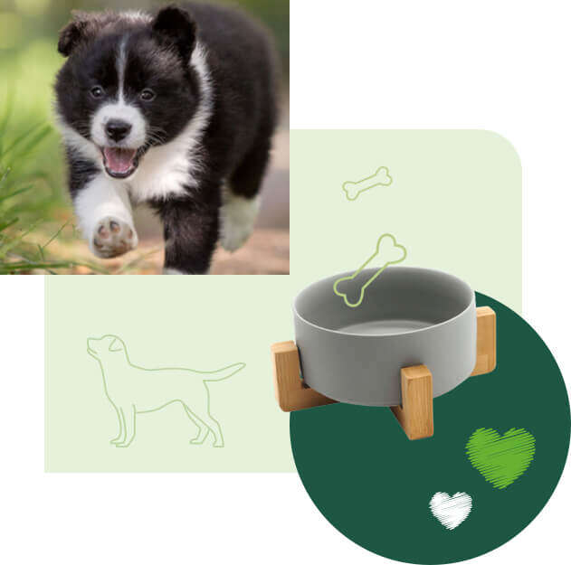 tierliebe hundefutter banner tierliebe hundefutter banner